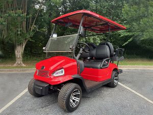 golf cart maintenance, lauderdale by the sea golf cart service